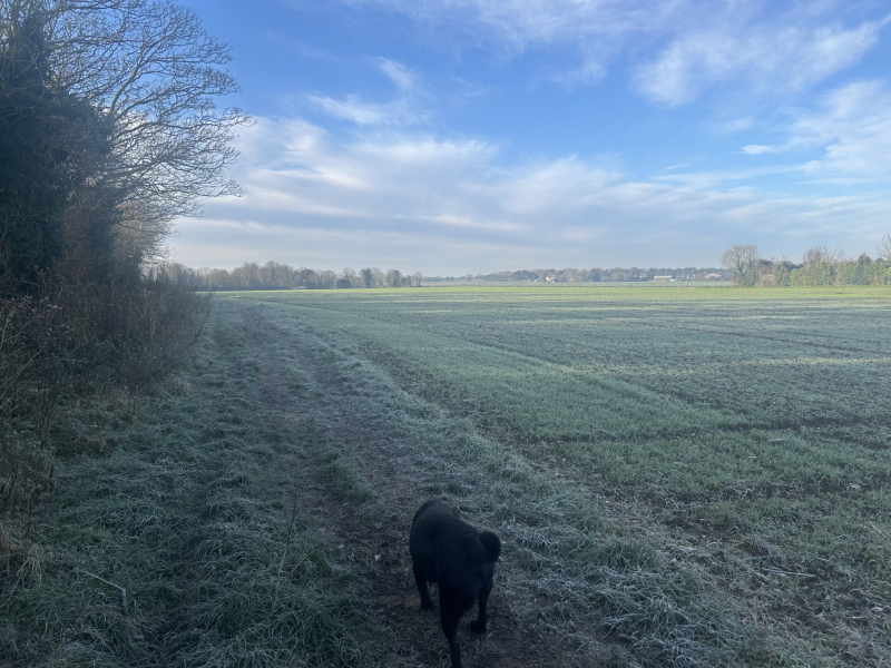 Ho ho ho...here we go round again! Countdown to Christmas 2025, thread 1