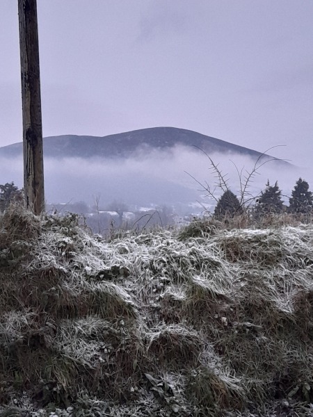 Irish (the language)