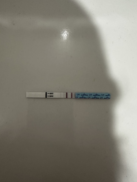 February TTC Support Group