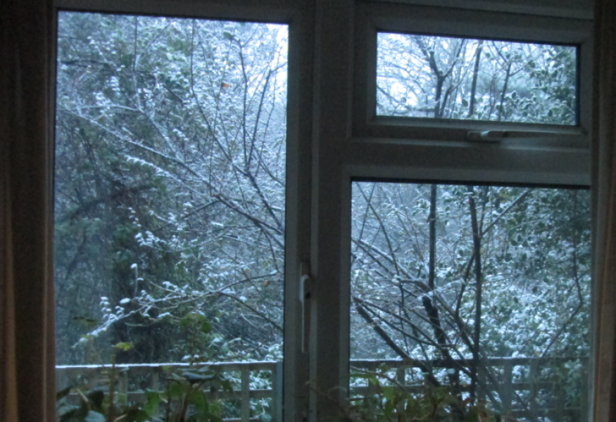 The Bluestocking: the one where AI finally learns what a blackbird is (we hope)