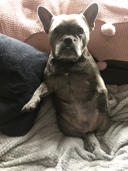AIBU is the only thread I look at apart from nice dog threads