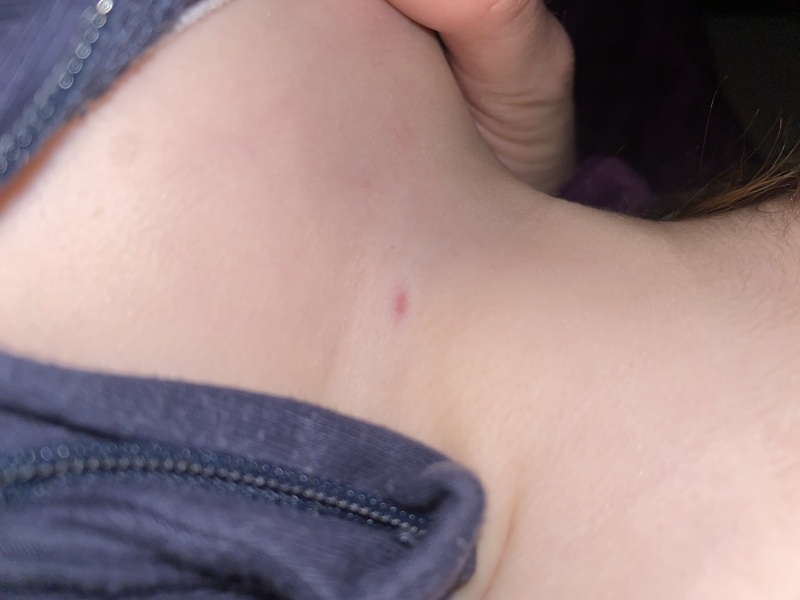 anyone know what this is?