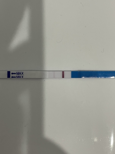 January TTC Support Group 💚