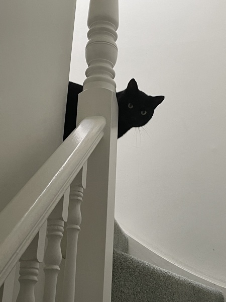 Thread 15 Starmer - Nolite te bastardes carborundorum