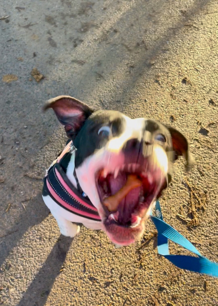 Thread 16 Starmer - Mad World