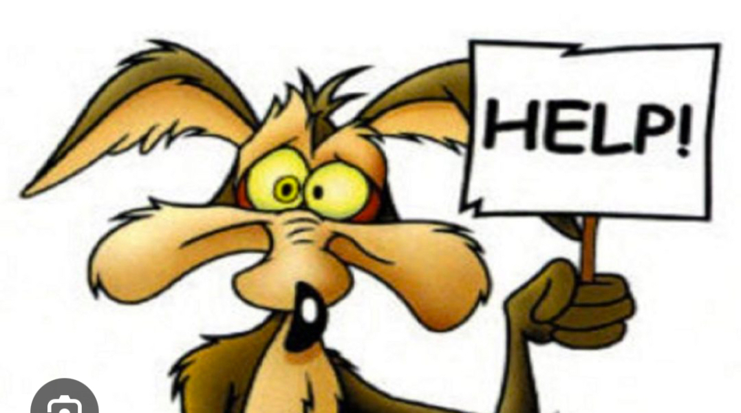 Nurturing secondary school options SW London and Surrey?