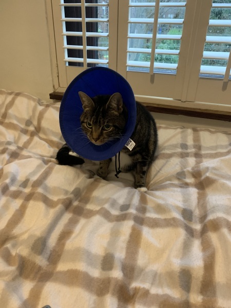 Please help - very stressed