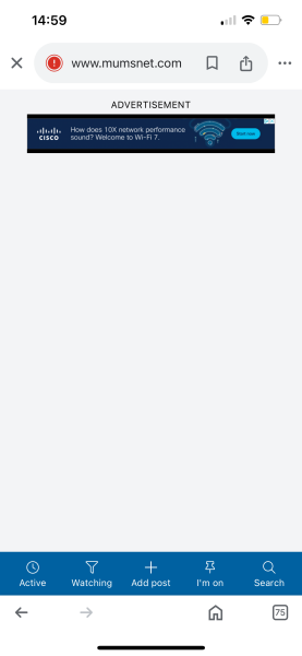 Huge adverts making site unusable