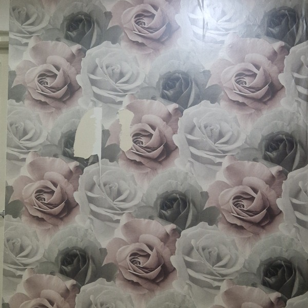 Need name of this paper