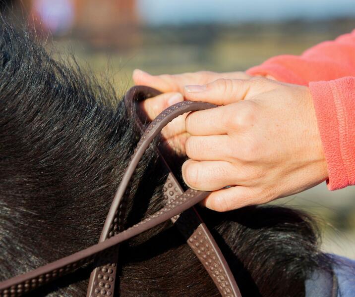 Tips on building my riding confidence