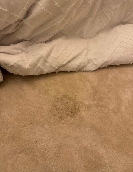 Stain Remover Stained My Carpet
