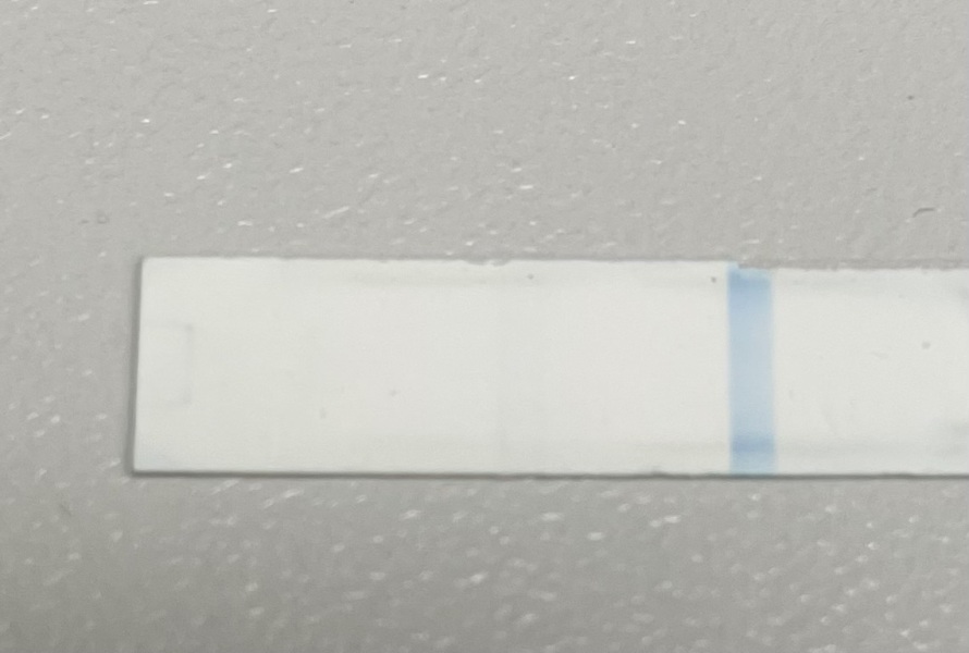 BBT could be pregnant?