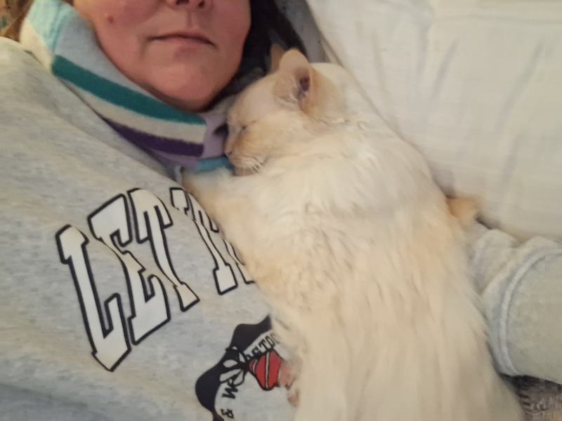 The Nigel Slater Christmas Chronicles Readalong 2024 Part 3