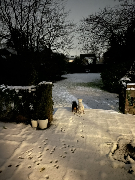 The Nigel Slater Christmas Chronicles Readalong 2024 Part 3