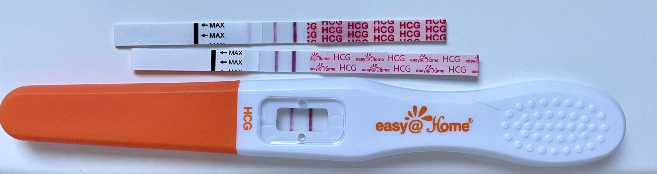 TTC February 2024 ✨