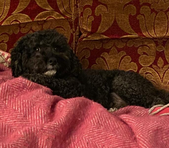 The Continuing Support Thread for Anyone Trying to Lead an Alcohol-Free Life Winter 2024