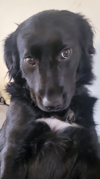 Show me your posers
