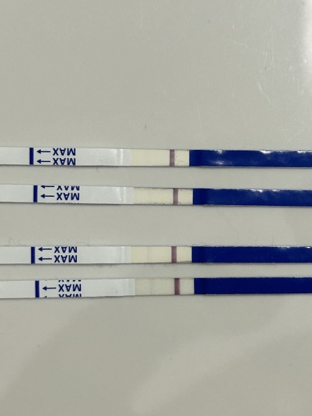 Are these lines too light for 11dpo