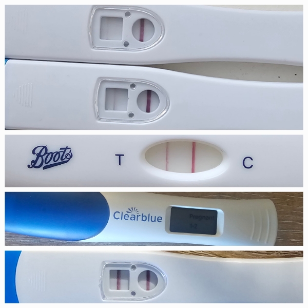 September 2025 babies