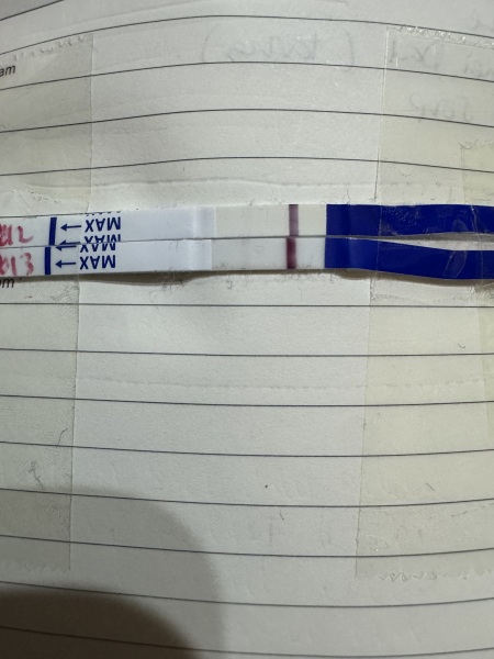 January TTC Support Group 💚