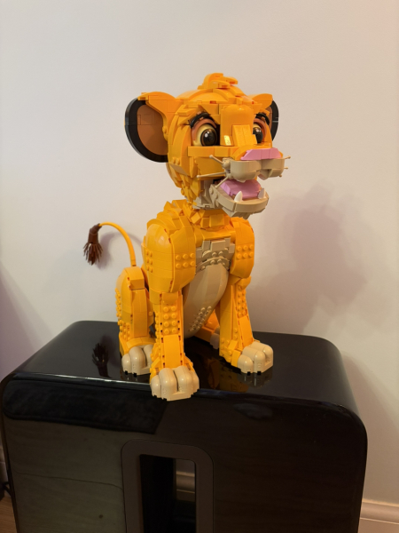 To show me your Lego collection?