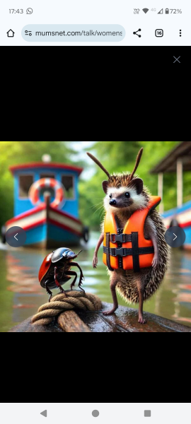 Ladies and Ladies: The Bluestocking is open: again