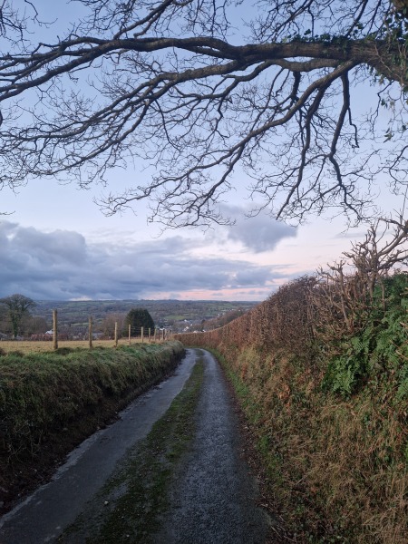 Running goals, motivation and chat 2025