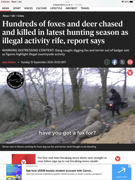 Trail Hunting or Fox Hunting?