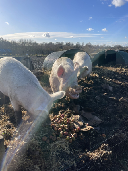 The Nigel Slater Christmas Chronicles Readalong 2024 Part 3