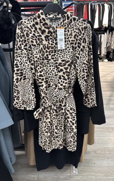 Is this a dress?