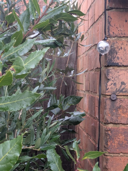 Who owns the outbuilding? Help!!!