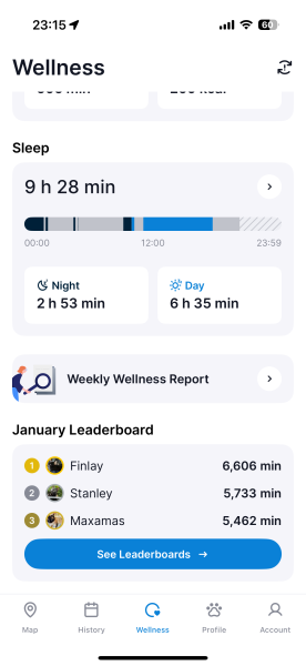 Ring Out, Wild Bells! As 2025 approaches, the Excellent Cats raise their game with a discussion on Tennyson's poetry