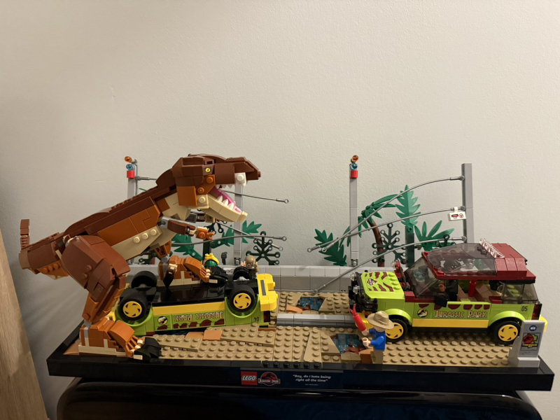 To show me your Lego collection?
