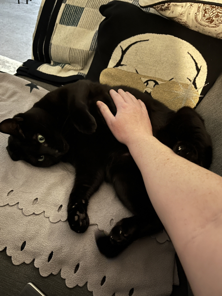 Ring Out, Wild Bells! As 2025 approaches, the Excellent Cats raise their game with a discussion on Tennyson's poetry