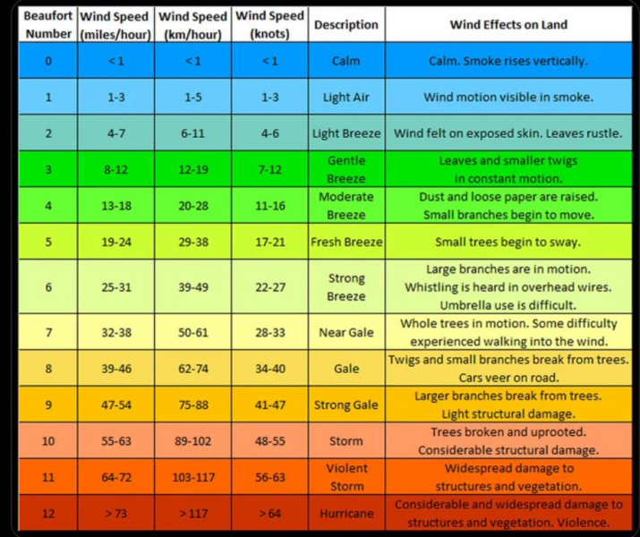 Ladies and Ladies: The Bluestocking is open: again