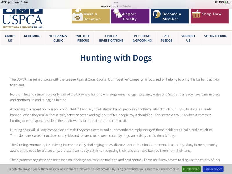 Trail Hunting or Fox Hunting?