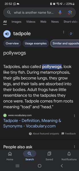 Am I being a snowflake about this - name of a nursery that is similar to something I find offensive ?