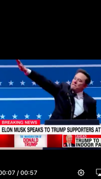 Elon musk salute