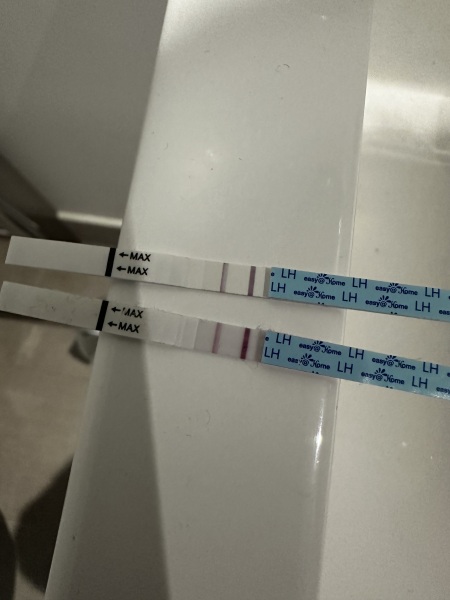 Ovulation tests