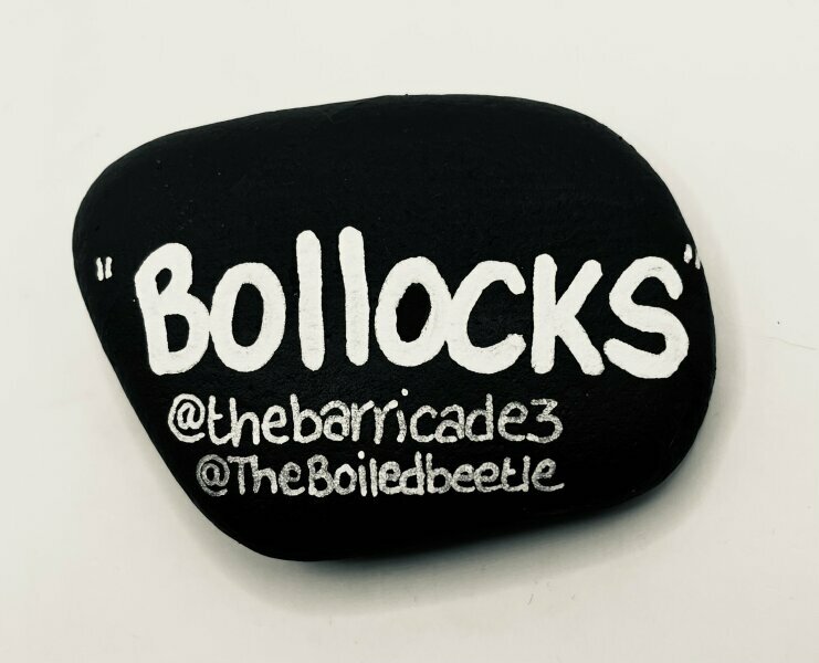 The Bluestocking: the one where AI finally learns what a blackbird is (we hope)