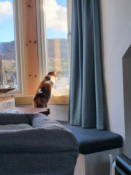 Lap dances, strippers and punch-ups - the Excellent Cats arrange a stag party