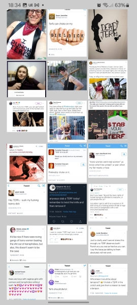 To feel everyone is anti trans?