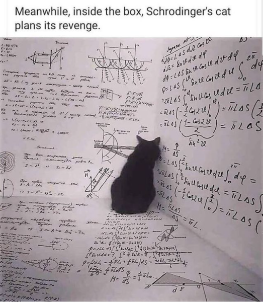 Thread 16 Starmer - Mad World