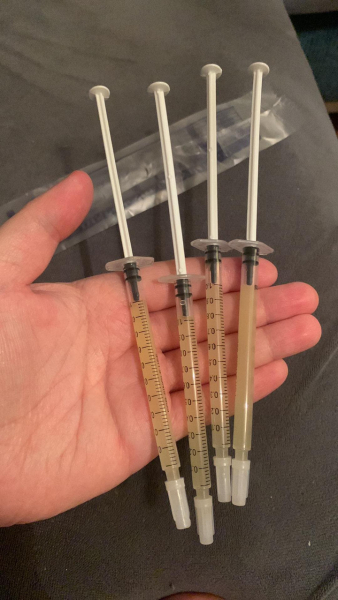 Due February 2025 - Thread 4