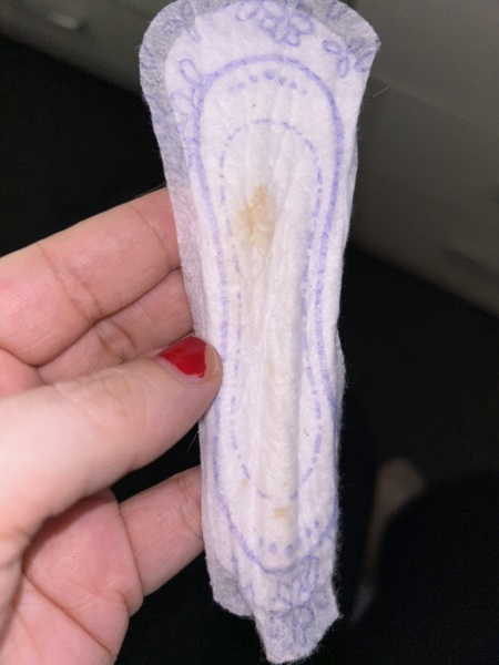 Anyone know what this is