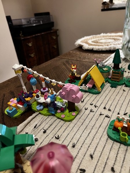 To show me your Lego collection?