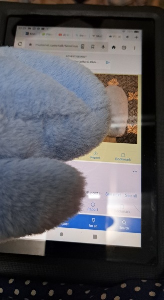 The Bluestocking: the one where AI finally learns what a blackbird is (we hope)