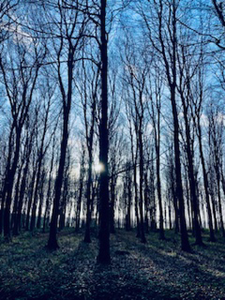 The Nigel Slater Christmas Chronicles Readalong 2024 Part 3