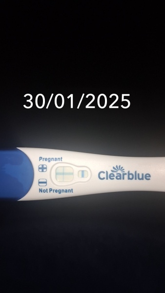 Clear blue test. Evap line or positive