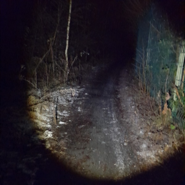 You know you get up early in the country when…